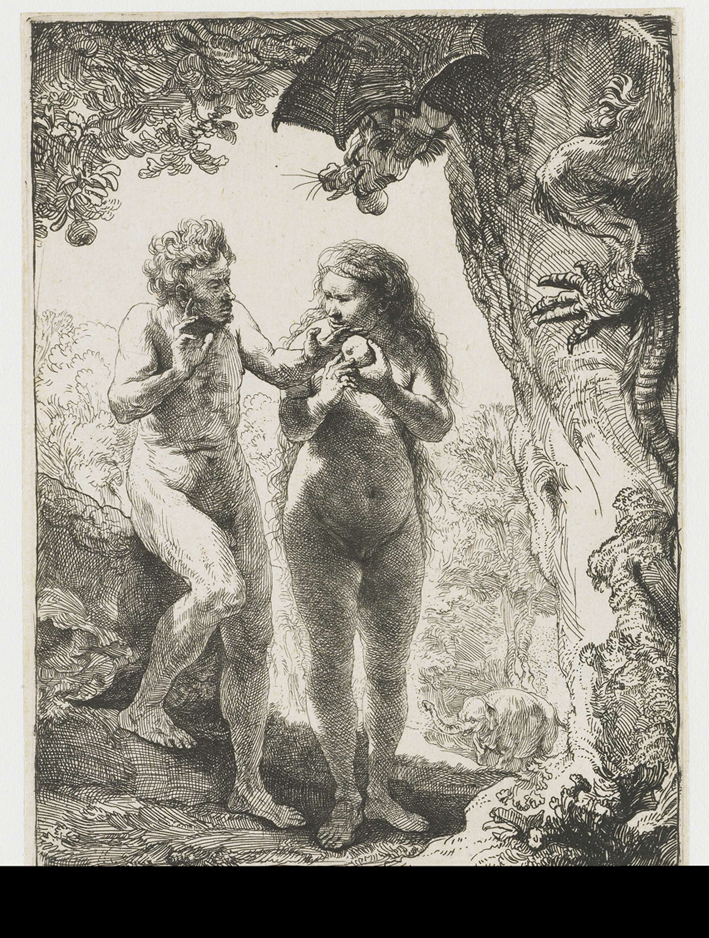  伦勃朗·梵·莱茵 Rembrandt van Rijn——人类的堕落